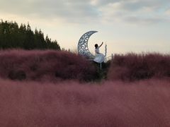 -嘉北郊野公园