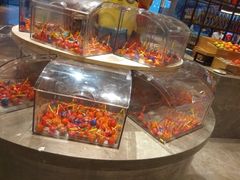 -武汉世茂希尔顿酒店·汇·全日餐厅