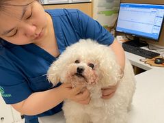 -瑞派康怡24h宠物医院·犬猫医疗中心·微创绝育(瑞景分院)