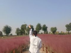 -汉长安城未央宫国家考古遗址公园