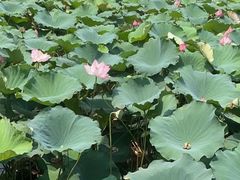 -时间仓(月湖公园店)