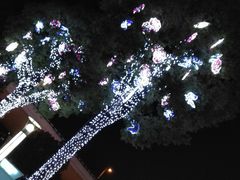 android_upload_pic-莲花国际广场