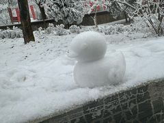 -秦岭终南山世界地质公园翠华山景区