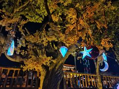 -横店影视城梦幻谷园区