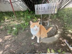 -北京鲁迅博物馆（北京新文化运动纪念馆）鲁博馆区