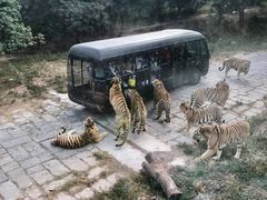 -深圳野生动物园