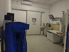-中国农业大学动物医院