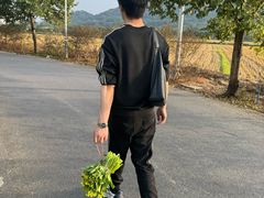 -风云岭森林公园