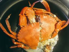 原只蒸海蟹-百味馆·粤菜·湛江菜(后海花园店)