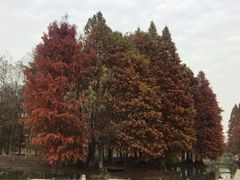 -白塘生态植物园