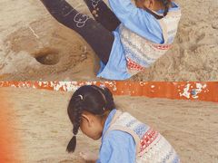 -春花秋色城市公园