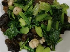 -悦芽照护月嫂+育儿嫂(杭州店)