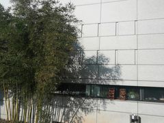 -金陵图书馆
