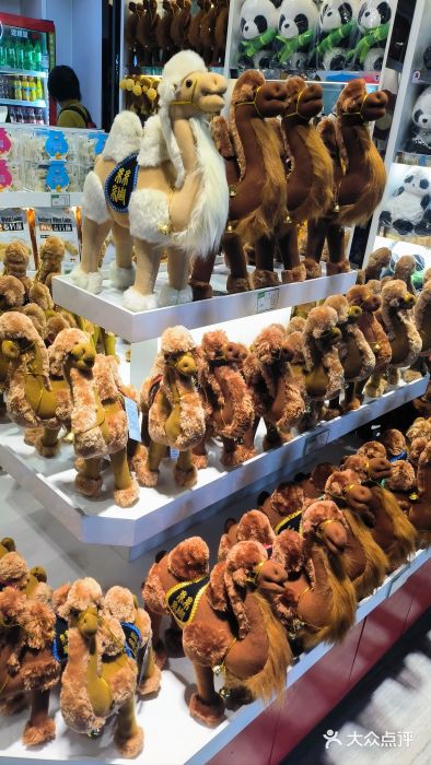 银川河东国际机场图片