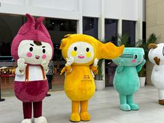 -广西壮族自治区博物馆