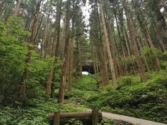 -上色见熊野座神社