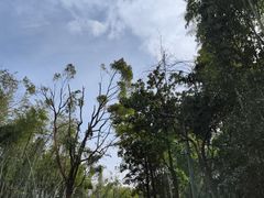 -东湖听涛景区