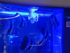 -上和臻品中国菜(花园街店)