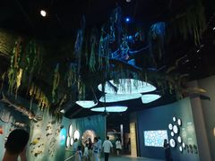 -中国湿地博物馆