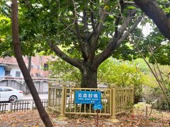 -陈李济中药博物馆