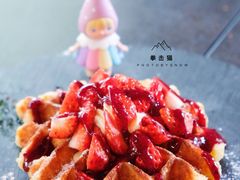-Boxing Cat Brewery拳击猫精酿啤酒馆(永福店)