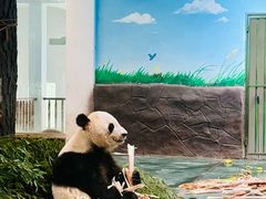 -安吉竹博园