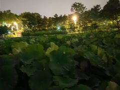 -荆九爷爆炒桥头三嫩(夫子庙店)