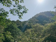 -牛背梁国家森林公园