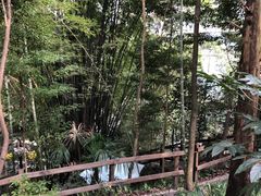 -花水湾第一村温泉大酒店