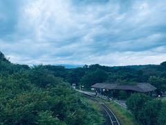 -济州森林小火车生态公园