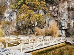-上海吴淞炮台湾国家湿地公园