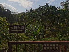 -呀诺达热带雨林