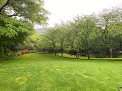 -中国茶叶博物馆(双峰馆区)