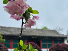 -海棠花溪(元大都城垣遗址公园)