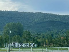 -南京老山国家森林公园