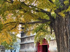 -北京石刻艺术博物馆(五塔寺)