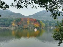 -白马涧龙池景区