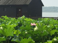 -太湖湾开元名庭大酒店