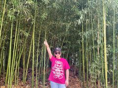 -南诏风情岛