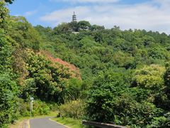 -苏州上方山国家森林公园