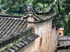 -杨家堂村