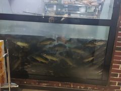 -肥鱼屯活鱼锅(惠工街店)