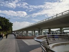 -演武大桥观景平台