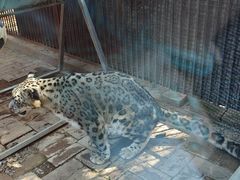 -青藏高原野生动物园