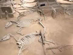 -洛阳周王城天子驾六博物馆