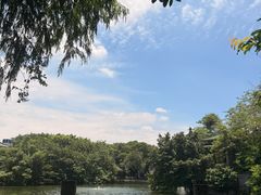 -荔湾湖公园