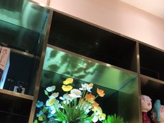 -若爱猪肚鸡·啫啫煲(循礼门M+店)