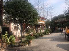 -青城甲(青城山店)