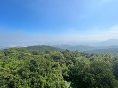 -东莞市大岭山森林公园