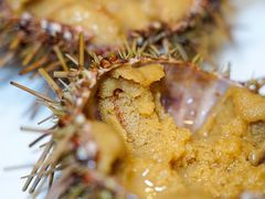 -海胆小馆(东北水饺·春柳店)